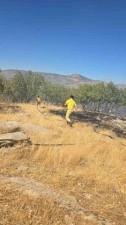 Dicle'de orman ve örtü yangını