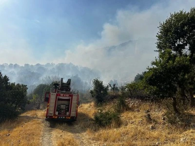 Diyarbakır'da orman yangını helikopter destekli müdahale sürüyor