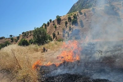 Diyarbakır&rsquo;da Orman Yangını Alarmı