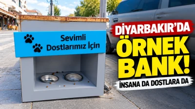 Diyarbakır&rsquo;da &ouml;rnek bank: Hem vatandaşa hem hayvanlara