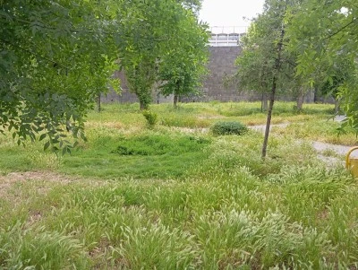 Diyarbakır'da parklar ormana d&ouml;nd&uuml; vatandaş &ccedil;ağrı yaptı