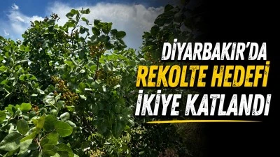 Diyarbakır'da Rekolte Hedefi İkiye Katlandı