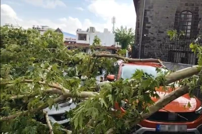 Diyarbakır’da sağanak ağacı devirdi: 3 araç zarar gördü