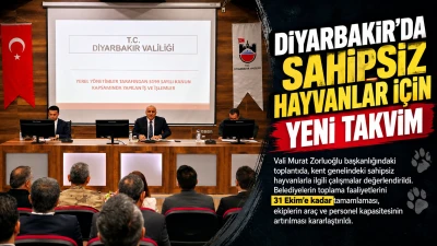 Diyarbakır&rsquo;da sahipsiz hayvanlar i&ccedil;in yeni &ccedil;alışma takvimi