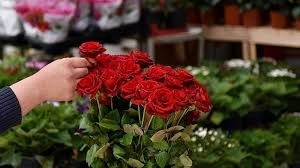 Diyarbakır'da Sevgililer Günü Hazırlıkları Başladı