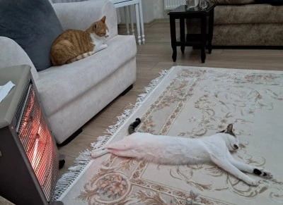 Diyarbakır'da Soğuk Havalara Dikkat