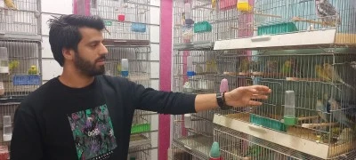 Diyarbakır’da Soğuyan Havalarda Evcil Hayvan Bakımına Dikkat