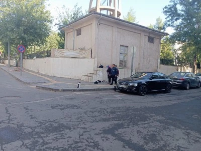 Diyarbakır’da Sokak Kedilerine Gönüllü Annelik