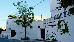 Diyarbakır’da Sokak Sanatçıları Duvarlara Tuval Yaptı