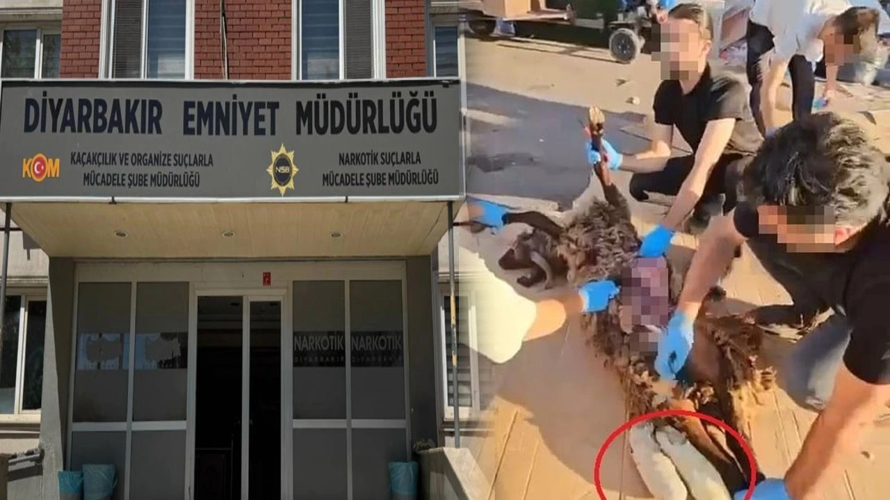 Diyarbakır’da Şoke Eden Yöntem