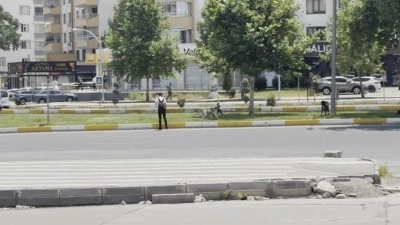 Diyarbakır’da sürü halinde gezen köpekler vatandaşları korkuttu