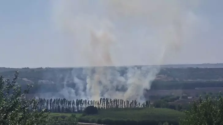 Diyarbakır'da Tarihi Bahçelerde Korkutan Alevler
