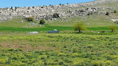 Diyarbakır’da tarlada ürün de var, enerji de