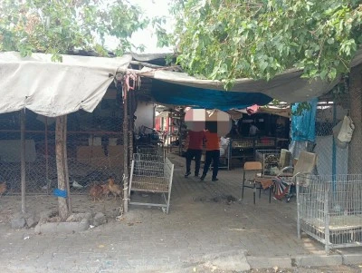 Diyarbakır&rsquo;da tavuk pazarında hijyen tepkisi