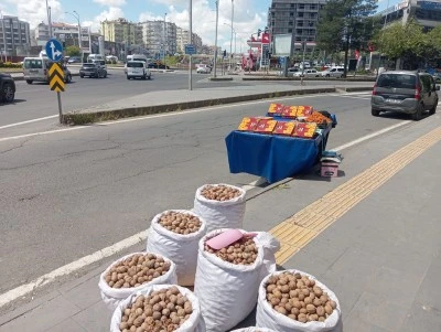 Diyarbakır&rsquo;da Taze Ceviz Bereketi