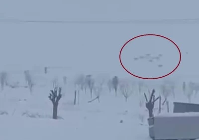 Diyarbakır&rsquo;da Tedirgin Eden G&ouml;r&uuml;nt&uuml;ler