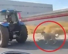 Diyarbakır&rsquo;da tepki &ccedil;eken g&ouml;r&uuml;nt&uuml;