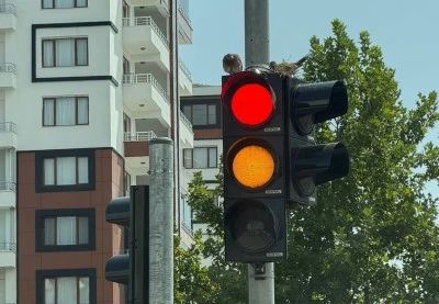 Diyarbakır&rsquo;da trafik ışıklarının &uuml;zeri kuşlara yuva oldu