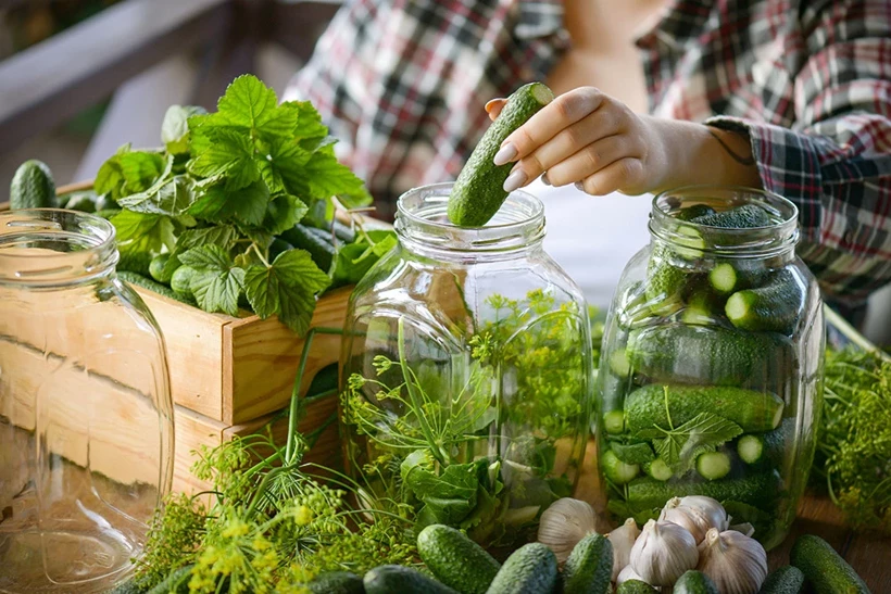Diyarbakır’da Turşu Mevsimi Başlıyor: Lezzet Tutkunları Hazırlanıyor
