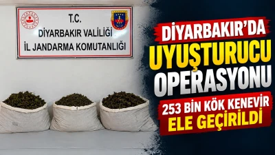 Diyarbakır&rsquo;da uyuşturucu operasyonları: 253 bin k&ouml;k kenevir ele ge&ccedil;irildi
