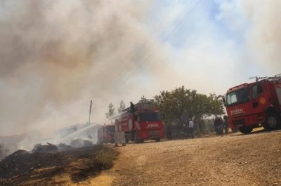 Diyarbakır’da Yangın Felaketi: Ahırlar, Mezarlıklar Yandı, Hayvanlar Telef Oldu