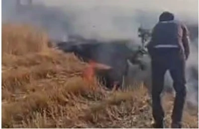 Diyarbakır'da yangına ağaçlı müdahale