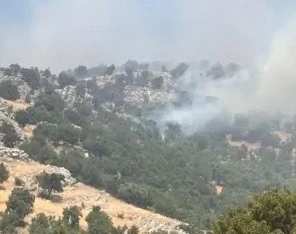 Diyarbakır'da Yaylada Korkutan &Ouml;rt&uuml; Yangını