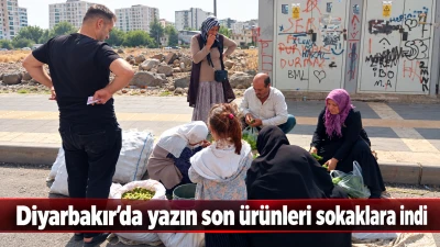Diyarbakır&rsquo;da yazın son &uuml;r&uuml;nleri sokaklara indi