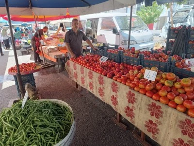 Diyarbakır&rsquo;da Yerli Domates Hasadı Başladı