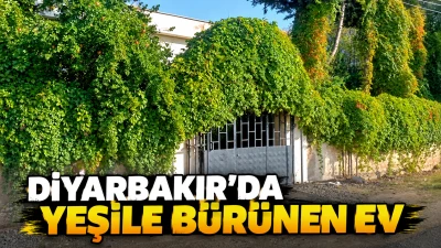 Diyarbakır&rsquo;da yeşile b&uuml;r&uuml;nen ev