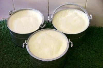 Diyarbakır’da yoğurtta sahtecilik!