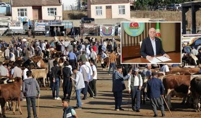 Diyarbakır dahil 81 ilde 3,35 Milyon Hayvan Kesilecek