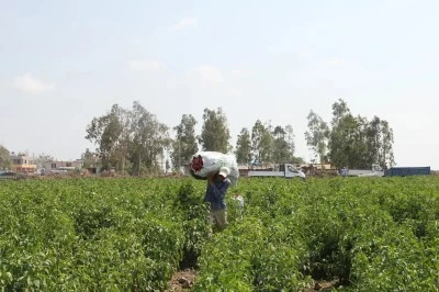 Diyarbakır dahil 81 ilde hazırlanacak!