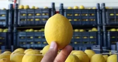 Diyarbakır'daki marketlerde limon fırsatçılığı