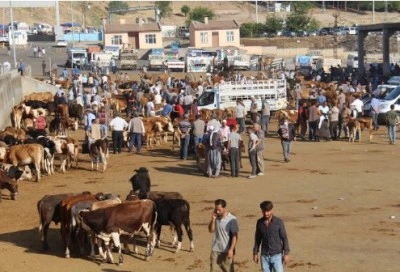 Diyarbakır Hayvan Borsası 4 Ay Aradan Sonra Yeniden Açıldı