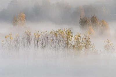 Diyarbakır Hevsel Bahçeleri Sisle Kaplandı, Sonbahar Manzarası Nefes Kesti