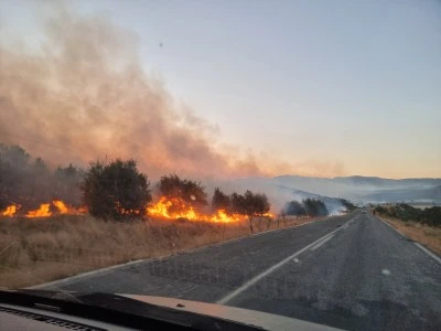 Diyarbakır'ın 3 ilçesi yanıyor