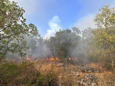 Diyarbakır’ın Dicle İlçesinde Örtü Yangını