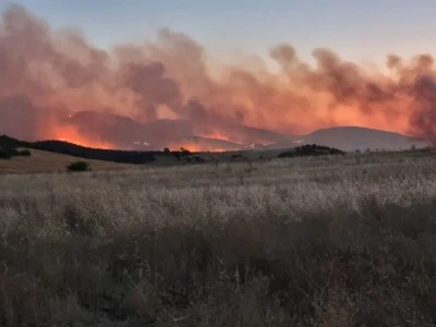 Diyarbakır'ın ilçelerindeki yangınlarda 3 kişi yaralı 