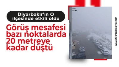 Diyarbakır'ın O il&ccedil;esinde etkili oldu