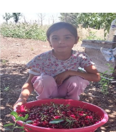 Diyarbakır&rsquo;ın toprağı bereketli: Ne eksen yetişiyor