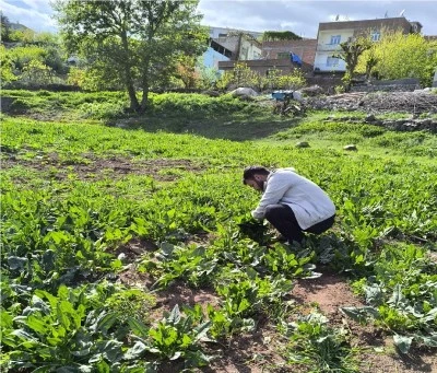 Diyarbakır&rsquo;ın Yeşil Hazinesi Hevsel Bah&ccedil;eleri Pazarlara Can Veriyor