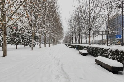 Diyarbakır Kar Altında