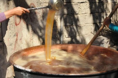 Diyarbakır Kırsalında Bağbozumu Bereketi