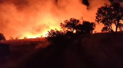 Diyarbakır Lice'de Orman Yangını: Kali Mahallesi Tahliye Edildi