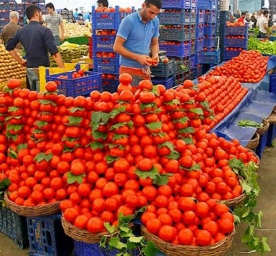 Diyarbakır Pazarlarında Bahçe Domatesi Bolluğu: Fiyatlar 8-9 TL’ye Kadar Geriledi