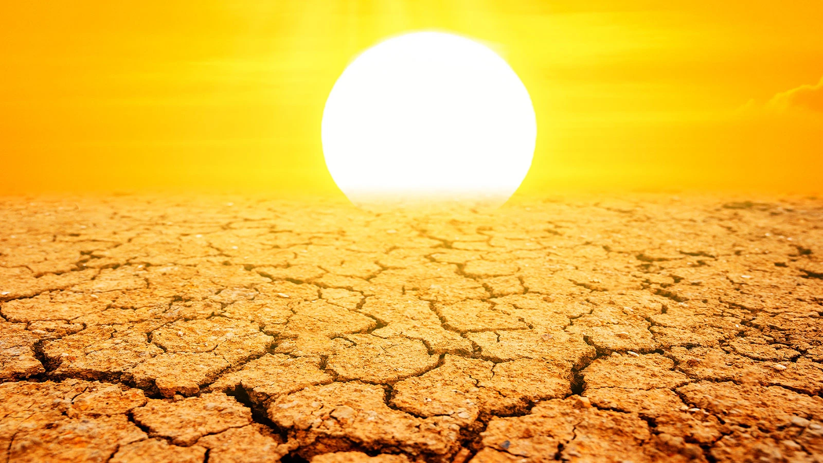 Diyarbakır Resmen Kavruluyor: Termometreleri O Rakamı Gördü!