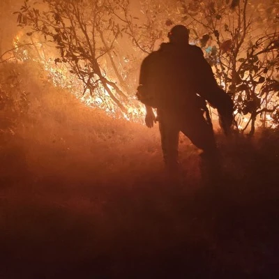 Diyarbakır Silvan’da Orman Yangını