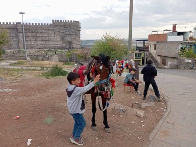 Diyarbakır Sur’da Yöresel Süslemeli Atlar Turistlerin İlgi Odağı Oldu