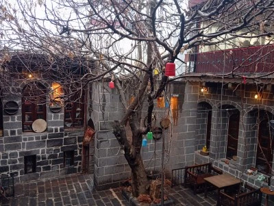 Diyarbakır Sur İ&ccedil;inde 100 Yıllık İncir Ağacı İlgi Odağı Oldu